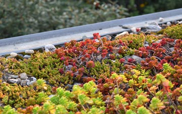 the cost of Compton Bishop green roof installation