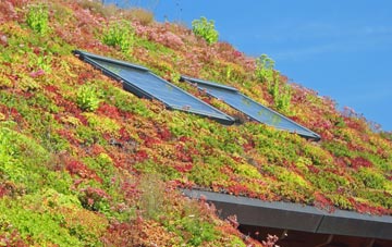 Compton Bishop living roof systems