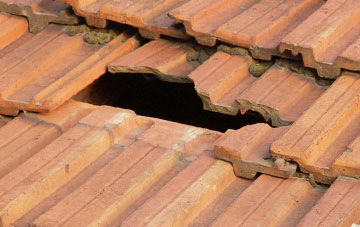 roof repair Compton Bishop, Somerset